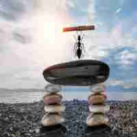 免‌费﻿PHP开‌发﻿方‌案﻿